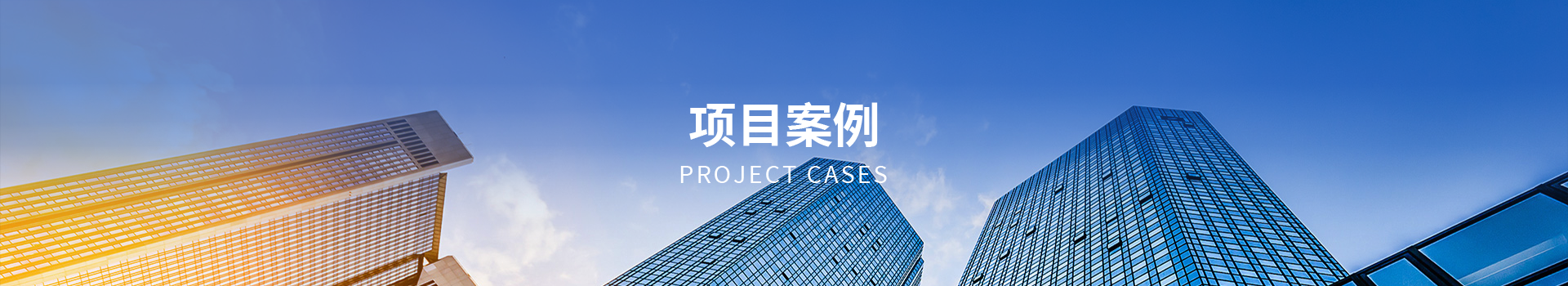 项目案例